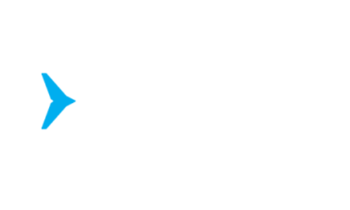 Delphin-Fishing